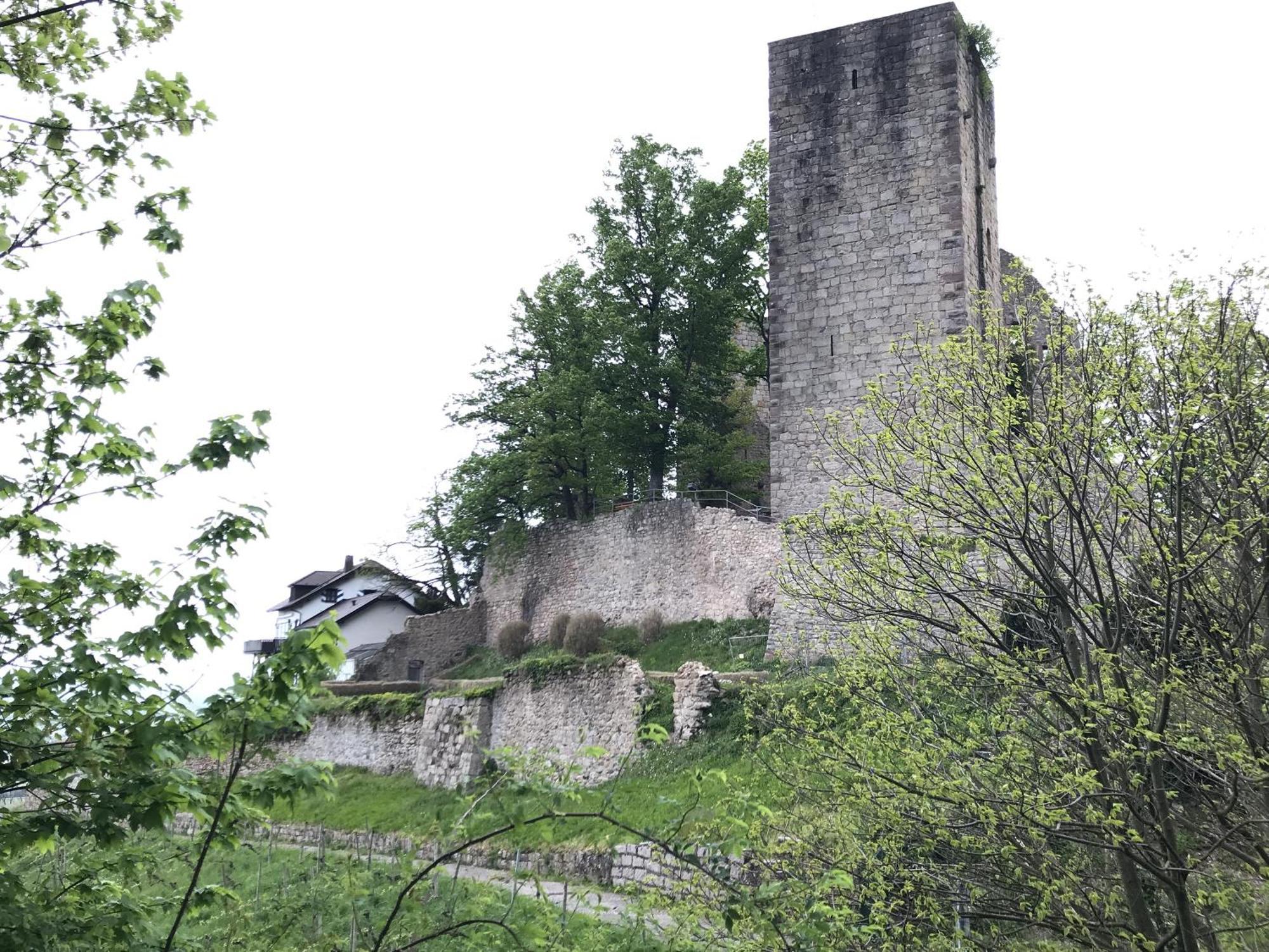 Apartment Schwarzwald Glueck *